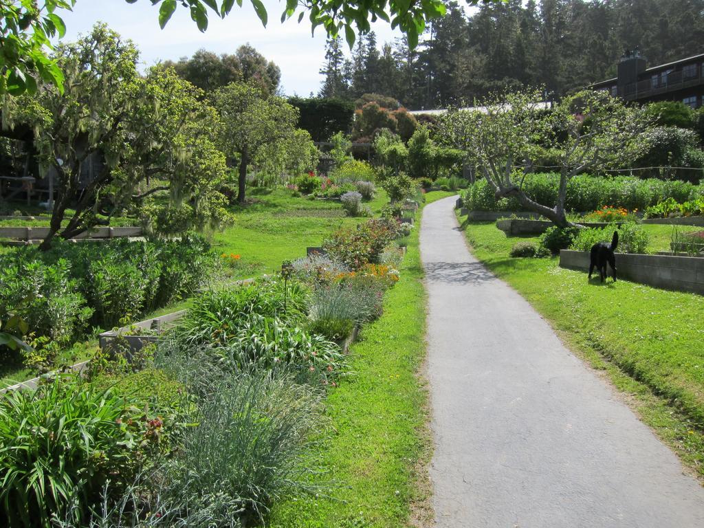 Stanford Inn & Resort On The Mendocino Coast Exteriör bild